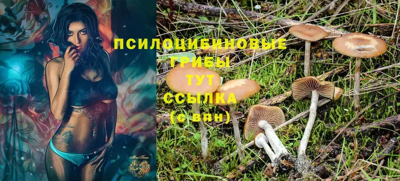 Купить закладку Грязи Cocaine  Марихуана 