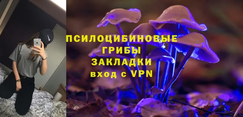 Псилоцибиновые грибы Magic Shrooms  Грязи 